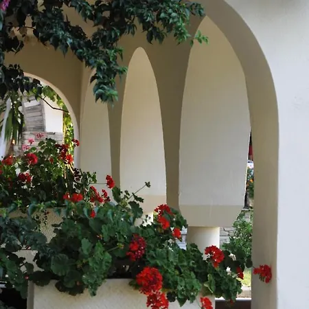 Assa Maris 3* Pyrgadikia